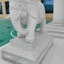 庆阳 白麻花岗岩动物异形石雕-大象