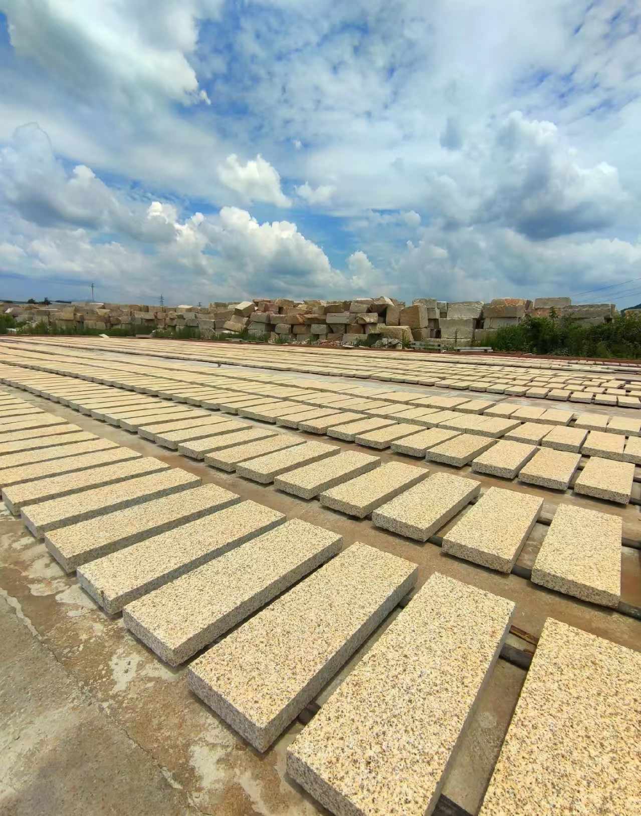 庆阳 黄金麻荔枝面花岗岩石材地铺石防护中