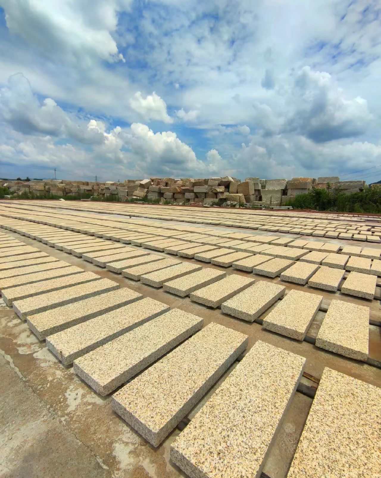 庆阳 黄金麻花岗岩荔枝面地铺石防护中